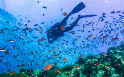 Plongée sous-marine en Thailande
